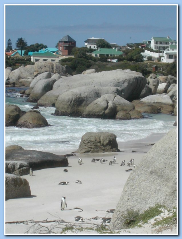 Boulders Beach